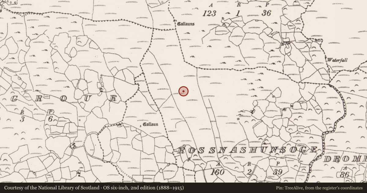 Ordnance Survey six-inch map, 2nd edition (1888–1915) covering the location of Fulacht fia, Rossnashunsoge, County Cork, with a pin at the register's coordinates