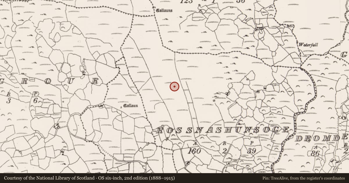 Ordnance Survey six-inch map, 2nd edition (1888–1915) covering the location of Fulacht fia, Rossnashunsoge, County Cork, with a pin at the register's coordinates