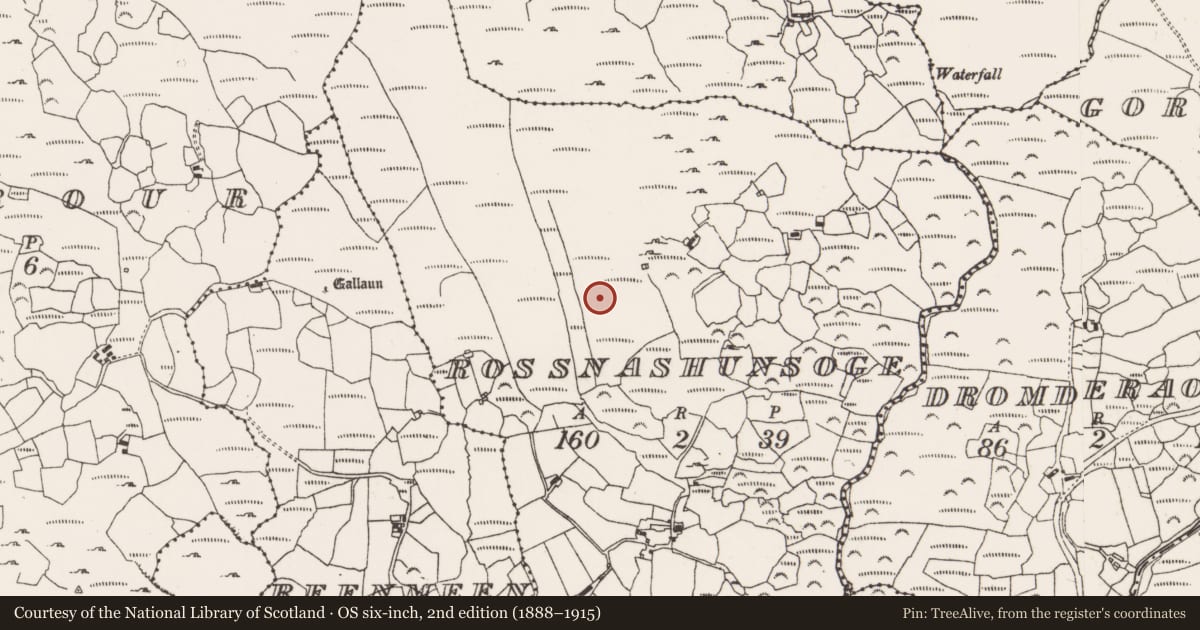 Ordnance Survey six-inch map, 2nd edition (1888–1915) covering the location of Fulacht fia, Rossnashunsoge, County Cork, with a pin at the register's coordinates