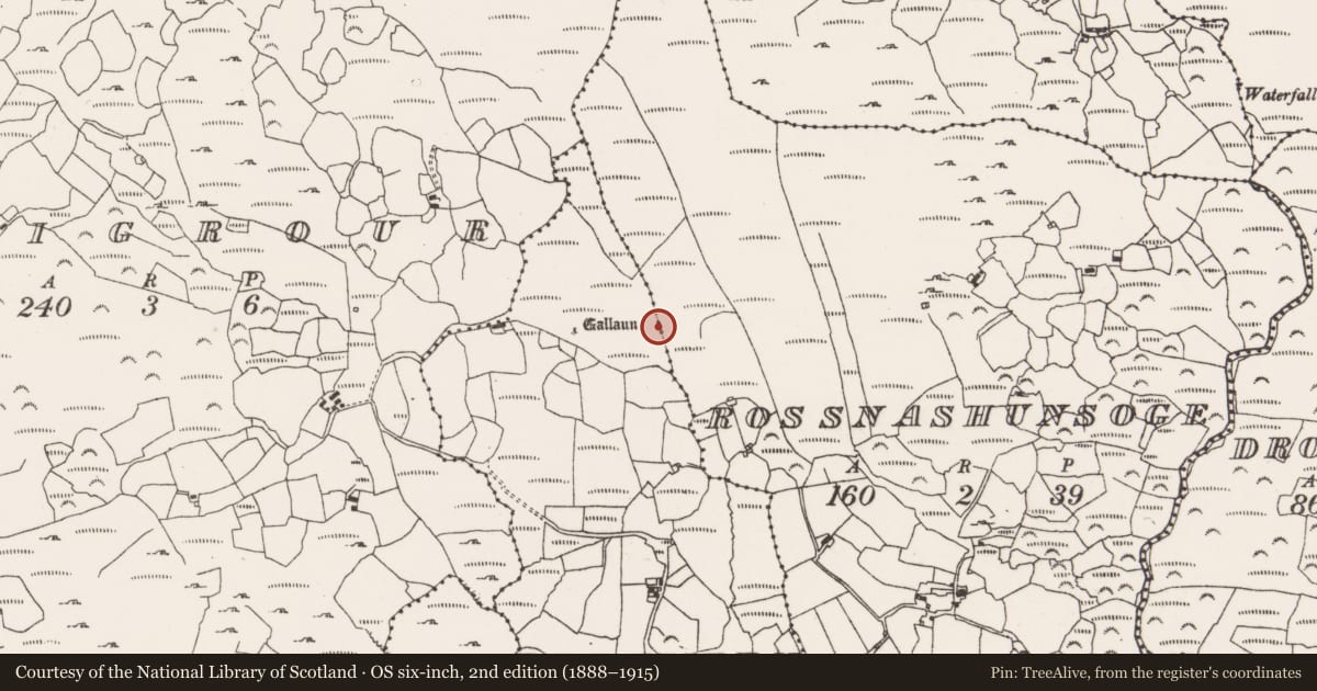 Ordnance Survey six-inch map, 2nd edition (1888–1915) covering the location of Fulacht fia, Rossnashunsoge, County Cork, with a pin at the register's coordinates