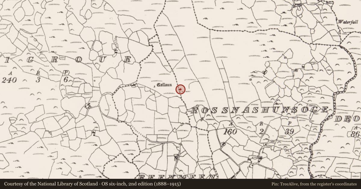 Ordnance Survey six-inch map, 2nd edition (1888–1915) covering the location of Fulacht fia, Rossnashunsoge, County Cork, with a pin at the register's coordinates