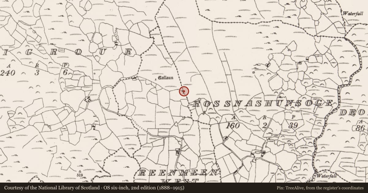 Ordnance Survey six-inch map, 2nd edition (1888–1915) covering the location of Burnt mound, Rossnashunsoge, County Cork, with a pin at the register's coordinates
