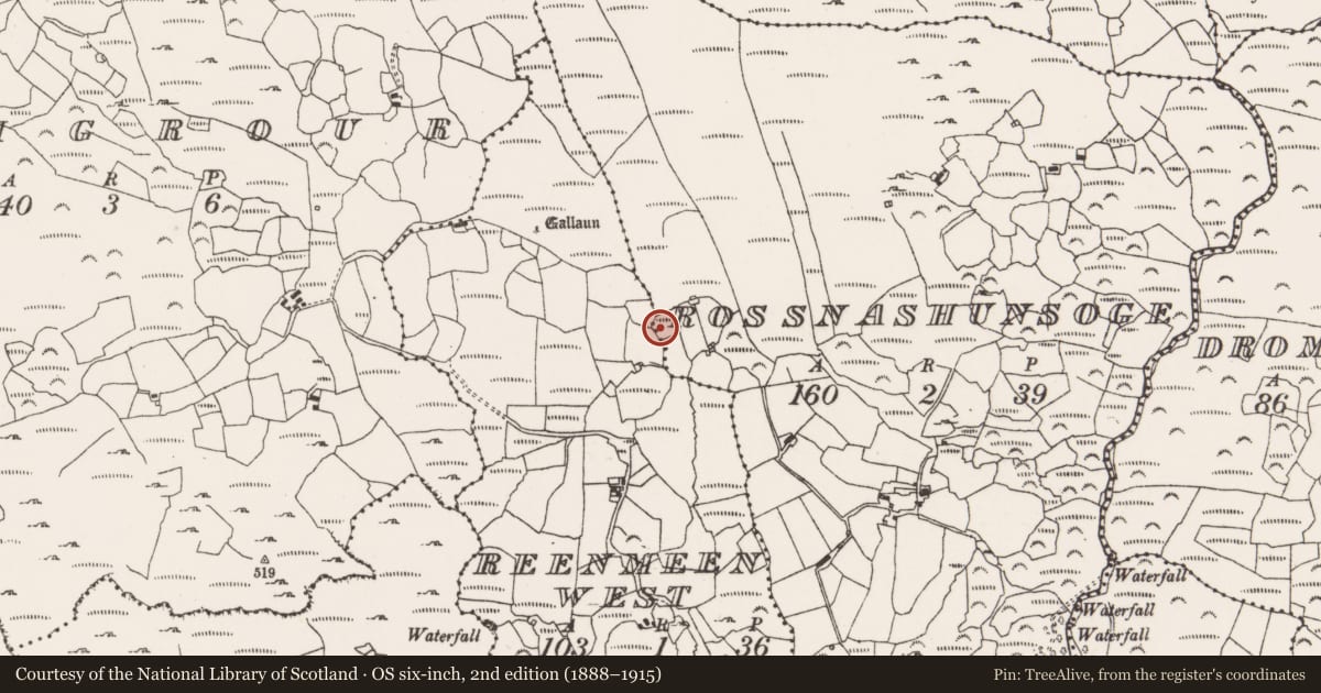 Ordnance Survey six-inch map, 2nd edition (1888–1915) covering the location of Fulacht fia, Rossnashunsoge, County Cork, with a pin at the register's coordinates