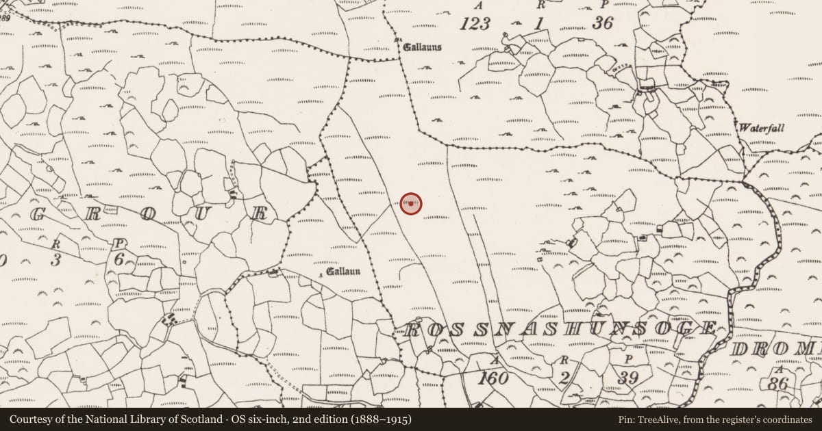Ordnance Survey six-inch map, 2nd edition (1888–1915) covering the location of Fulacht fia, Rossnashunsoge, County Cork, with a pin at the register's coordinates