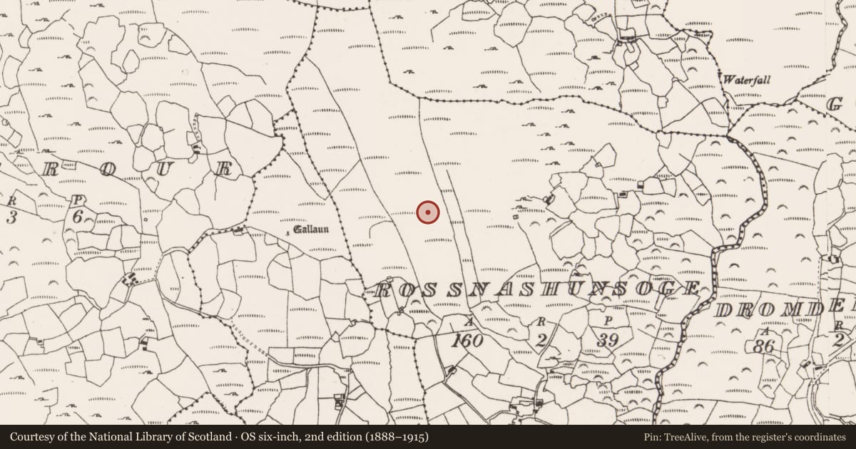 Ordnance Survey six-inch map, 2nd edition (1888–1915) covering the location of Fulacht fia, Rossnashunsoge, County Cork, with a pin at the register's coordinates