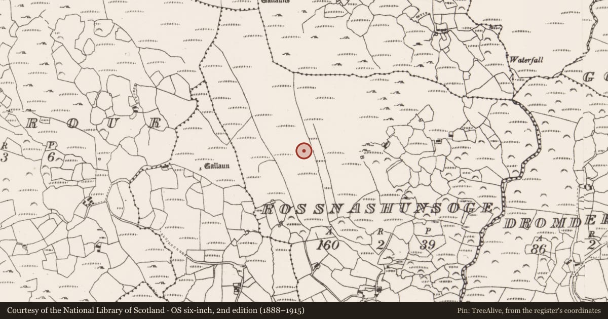 Ordnance Survey six-inch map, 2nd edition (1888–1915) covering the location of Burnt mound, Rossnashunsoge, County Cork, with a pin at the register's coordinates