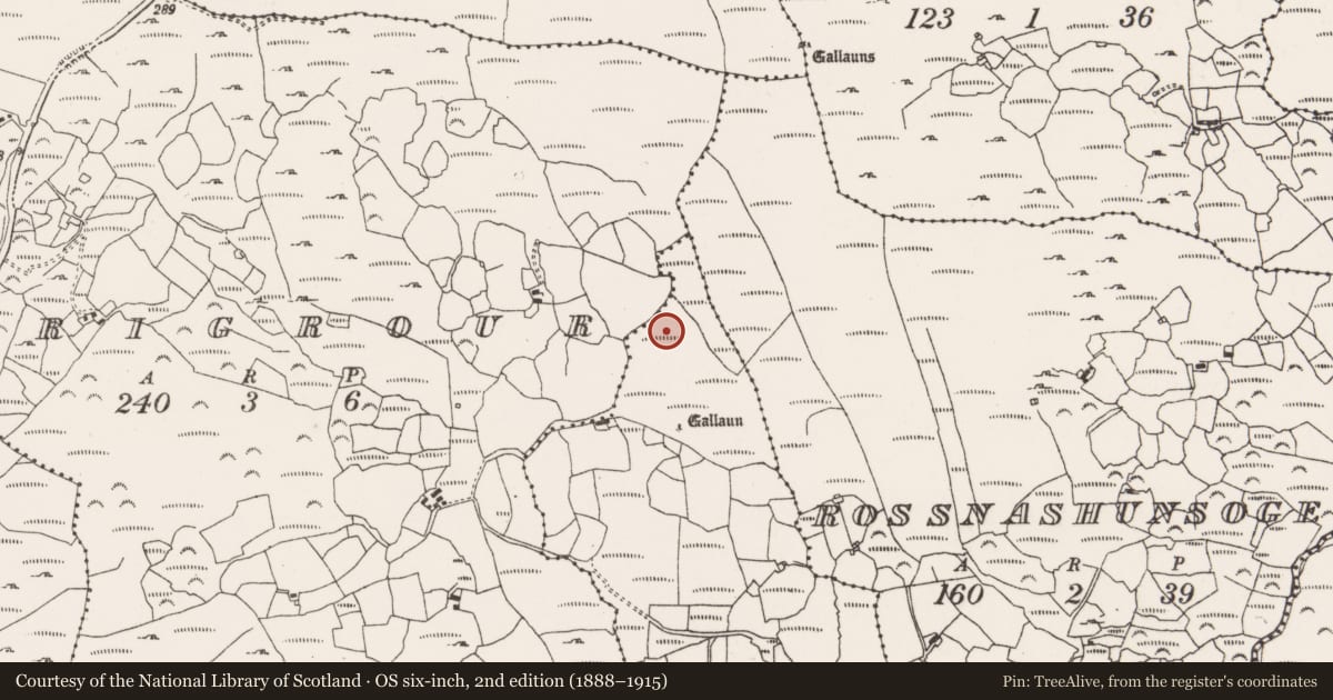 Ordnance Survey six-inch map, 2nd edition (1888–1915) covering the location of Cupmarked stone, Reenmeen West, County Cork, with a pin at the register's coordinates
