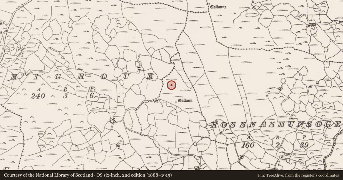 Ordnance Survey six-inch map, 2nd edition (1888–1915) covering the location of Cupmarked stone, Reenmeen West, County Cork, with a pin at the register's coordinates