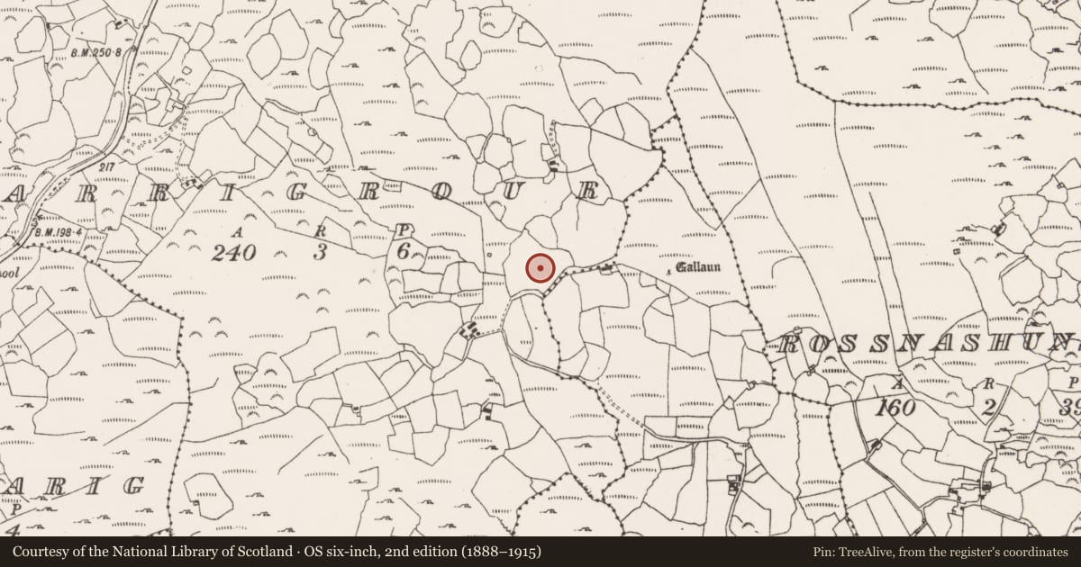 Ordnance Survey six-inch map, 2nd edition (1888–1915) covering the location of Souterrain, Carrigrour, County Cork, with a pin at the register's coordinates