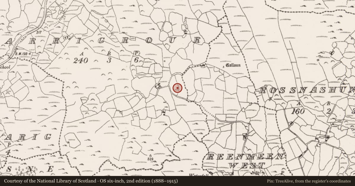 Ordnance Survey six-inch map, 2nd edition (1888–1915) covering the location of Souterrain, Carrigrour, County Cork, with a pin at the register's coordinates