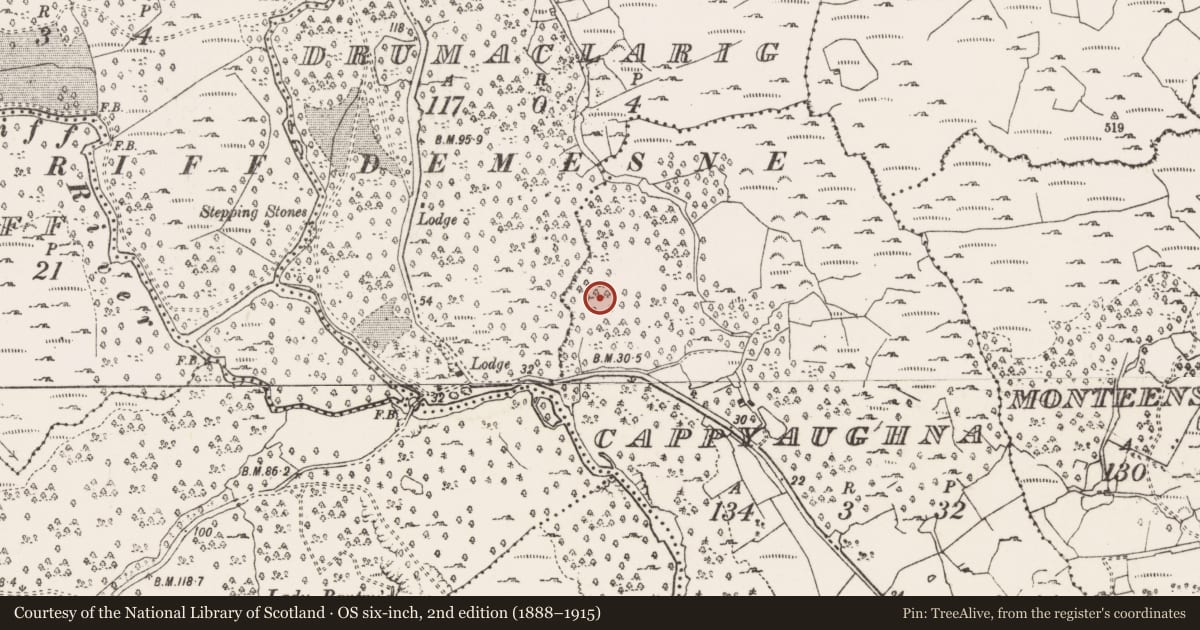 Ordnance Survey six-inch map, 2nd edition (1888–1915) covering the location of Enclosure, Cappyaughna, County Cork, with a pin at the register's coordinates
