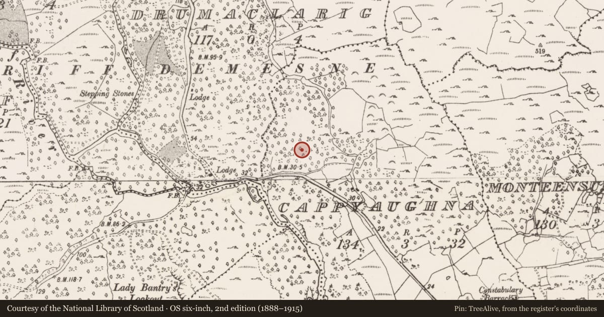 Ordnance Survey six-inch map, 2nd edition (1888–1915) covering the location of Enclosure, Cappyaughna, County Cork, with a pin at the register's coordinates