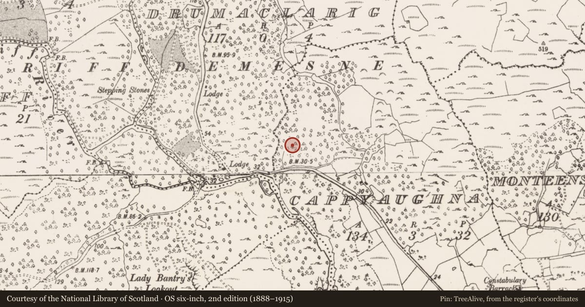 Ordnance Survey six-inch map, 2nd edition (1888–1915) covering the location of Souterrain, Cappyaughna, County Cork, with a pin at the register's coordinates