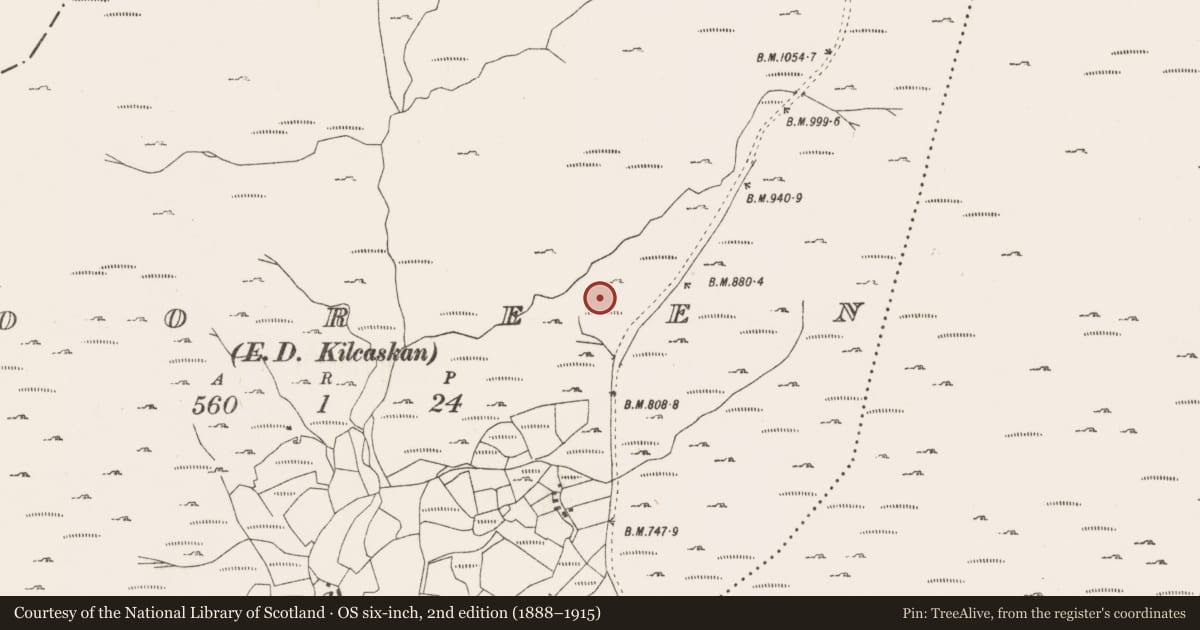 Ordnance Survey six-inch map, 2nd edition (1888–1915) covering the location of Enclosure, Tooreen, County Cork, with a pin at the register's coordinates