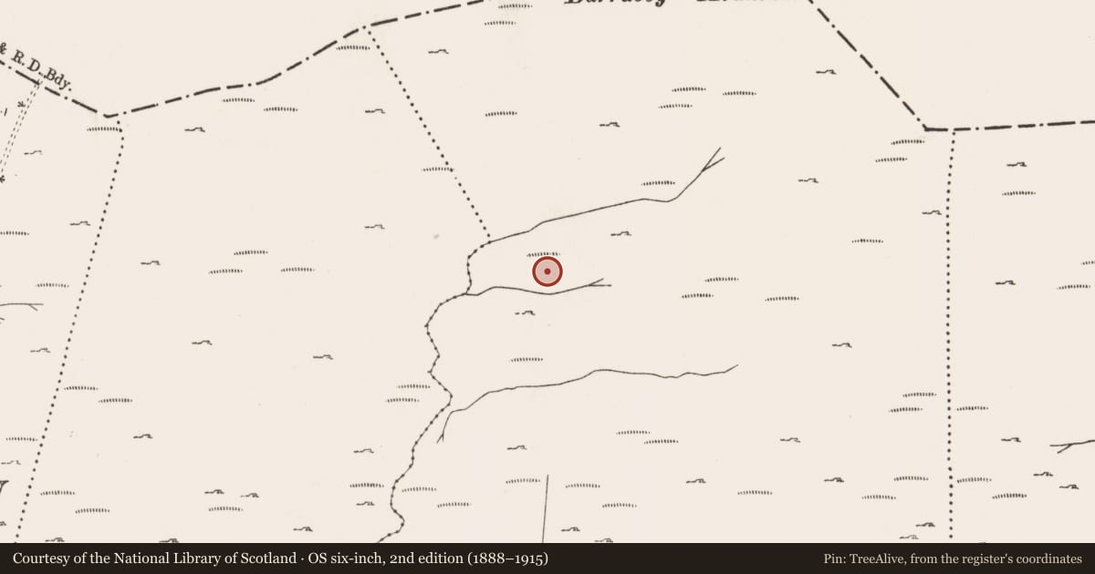Ordnance Survey six-inch map, 2nd edition (1888–1915) covering the location of Standing stone, Canrooska, County Cork, with a pin at the register's coordinates