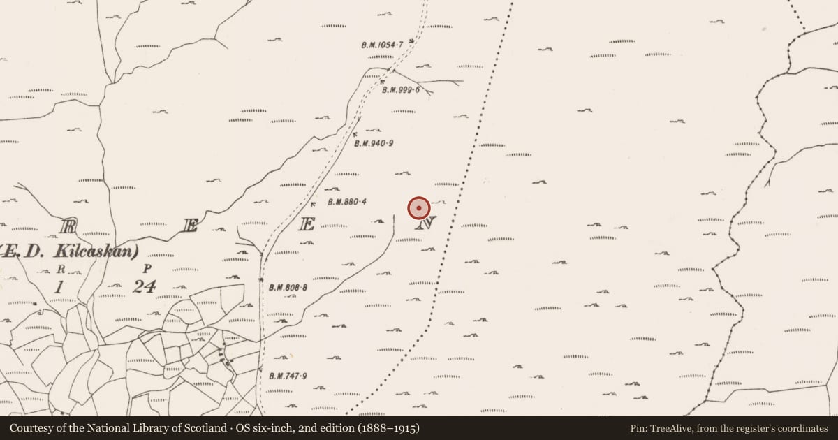 Ordnance Survey six-inch map, 2nd edition (1888–1915) covering the location of Hut site, Tooreen, County Cork, with a pin at the register's coordinates