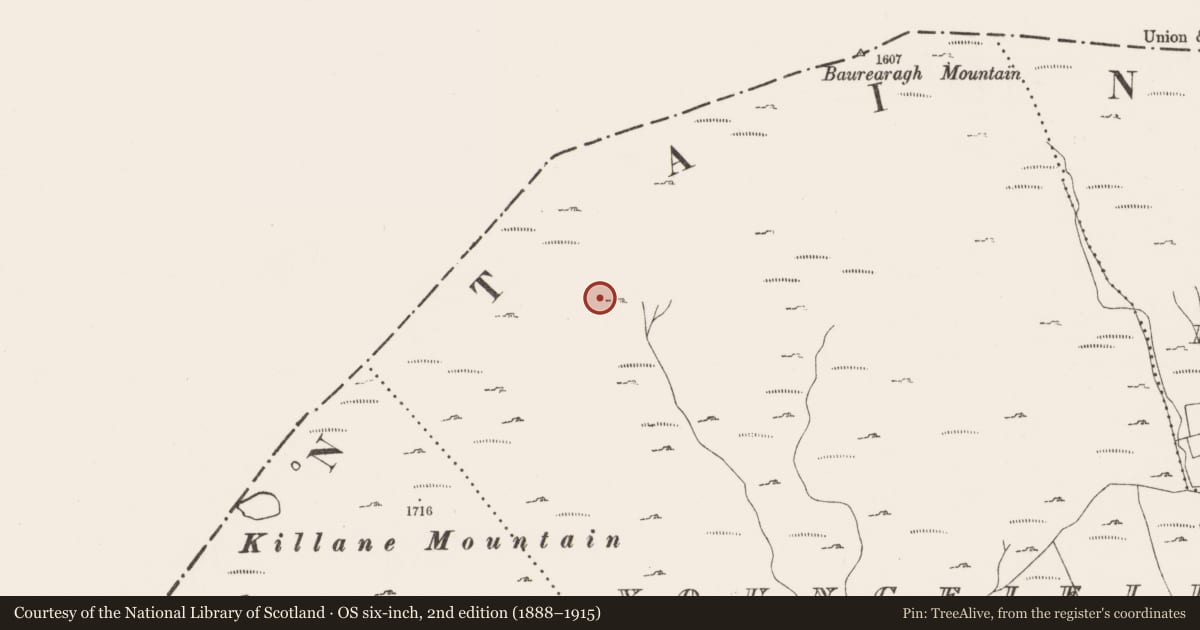 Ordnance Survey six-inch map, 2nd edition (1888–1915) covering the location of Hut site, Youngfield, County Cork, with a pin at the register's coordinates