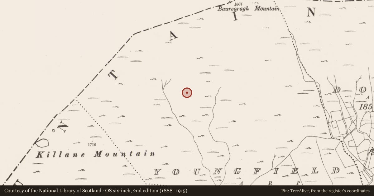 Ordnance Survey six-inch map, 2nd edition (1888–1915) covering the location of Enclosure, Youngfield, County Cork, with a pin at the register's coordinates