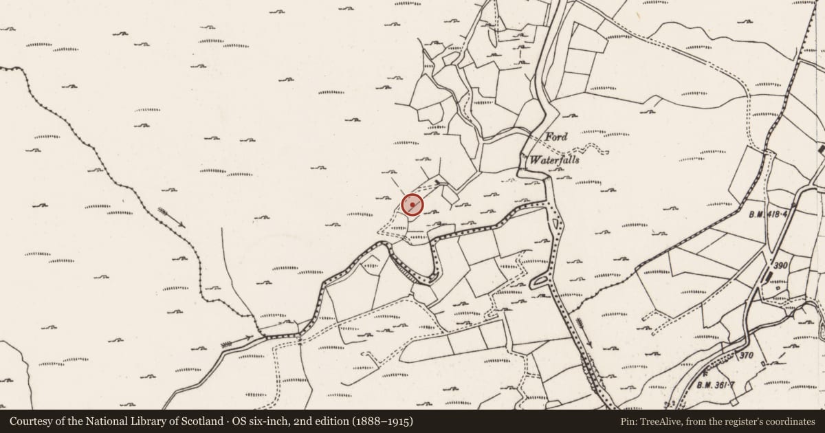 Ordnance Survey six-inch map, 2nd edition (1888–1915) covering the location of Megalithic tomb - wedge tomb, Derryclogher, County Cork, with a pin at the register's coordinates