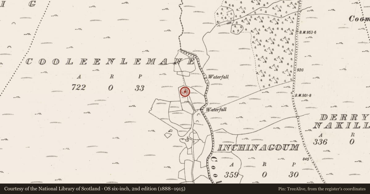Ordnance Survey six-inch map, 2nd edition (1888–1915) covering the location of Ringfort - cashel, Cooleenlemane, County Cork, with a pin at the register's coordinates