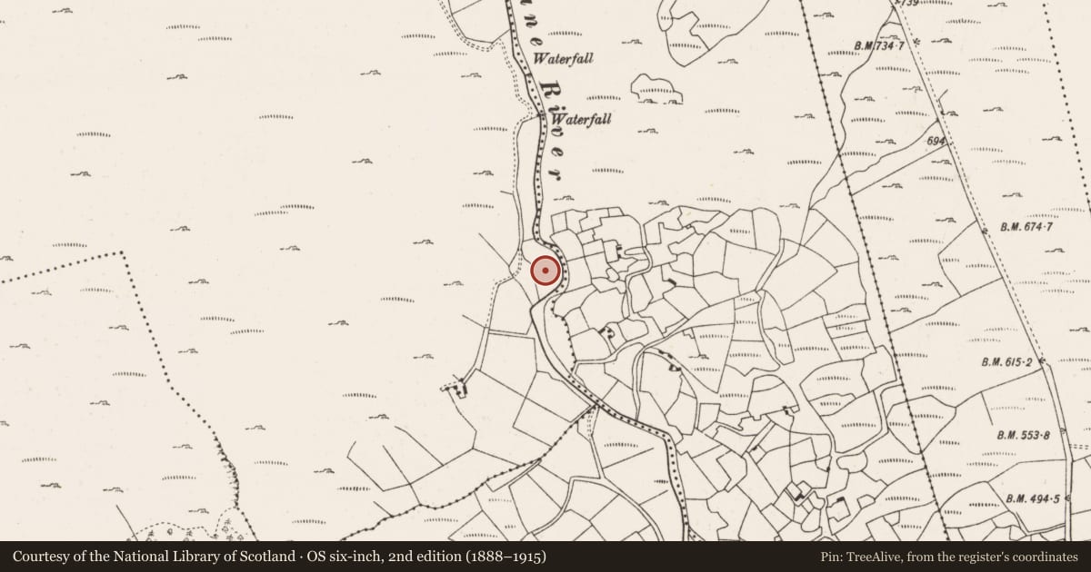 Ordnance Survey six-inch map, 2nd edition (1888–1915) covering the location of Megalithic structure, Cooleenlemane, County Cork, with a pin at the register's coordinates