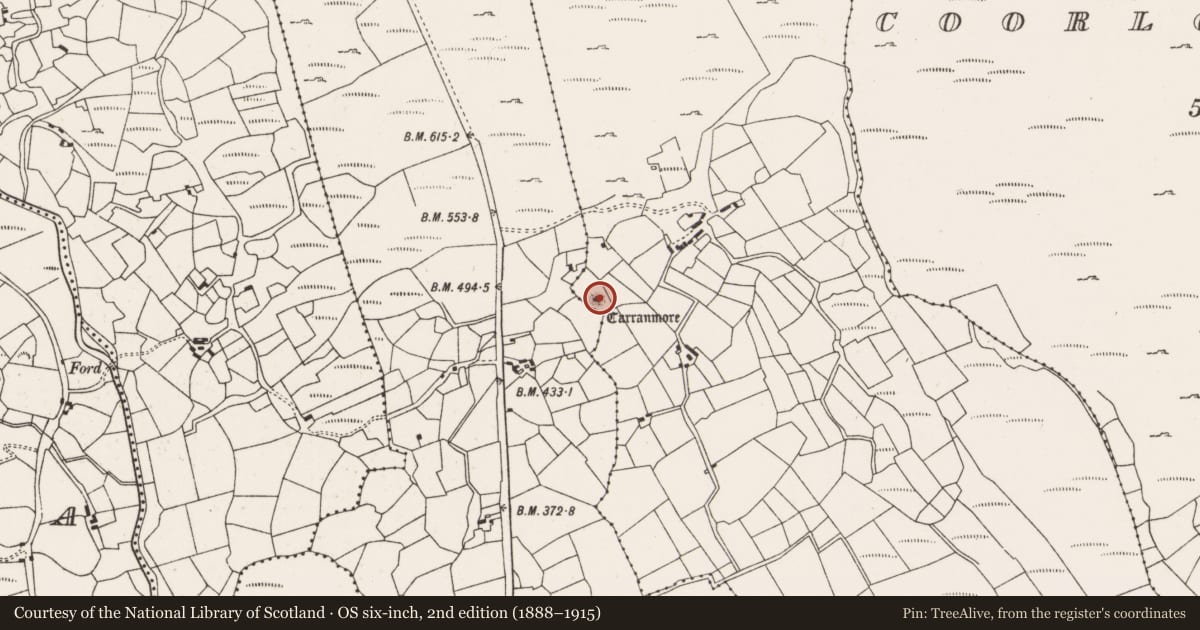Ordnance Survey six-inch map, 2nd edition (1888–1915) covering the location of Cairn - unclassified, Carran, County Cork, with a pin at the register's coordinates