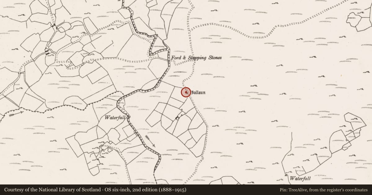 Ordnance Survey six-inch map, 2nd edition (1888–1915) covering the location of Standing stone, Derryduff More, County Cork, with a pin at the register's coordinates
