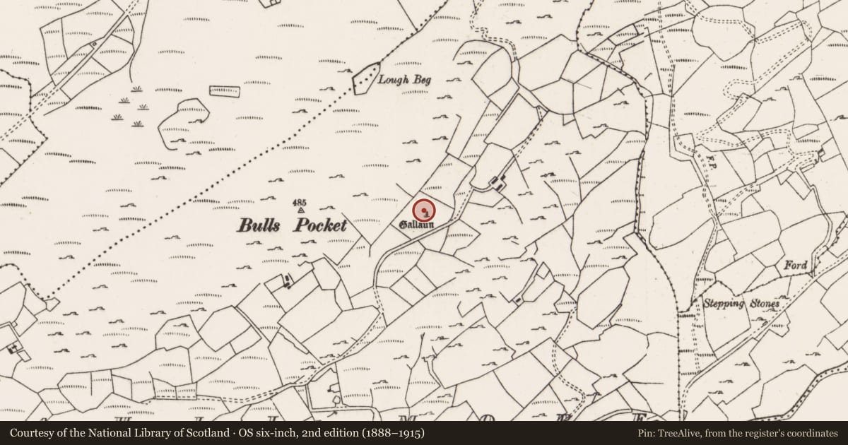 Ordnance Survey six-inch map, 2nd edition (1888–1915) covering the location of Standing stone, Ahil More, County Cork, with a pin at the register's coordinates