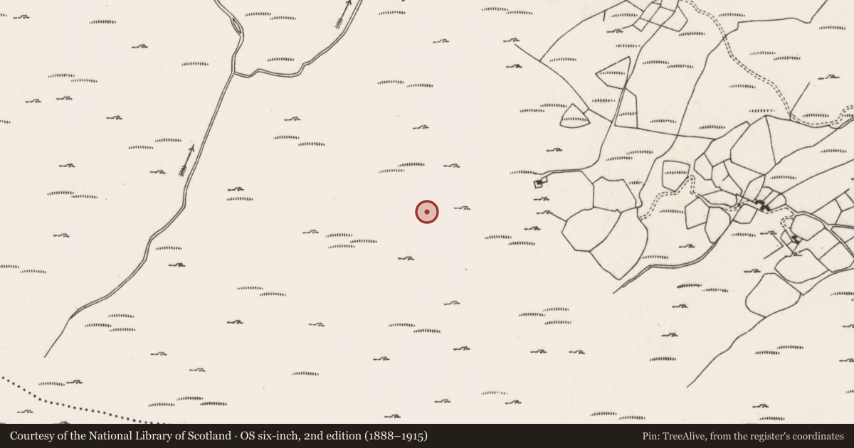 Ordnance Survey six-inch map, 2nd edition (1888–1915) covering the location of Field system, Curramore, County Cork, with a pin at the register's coordinates