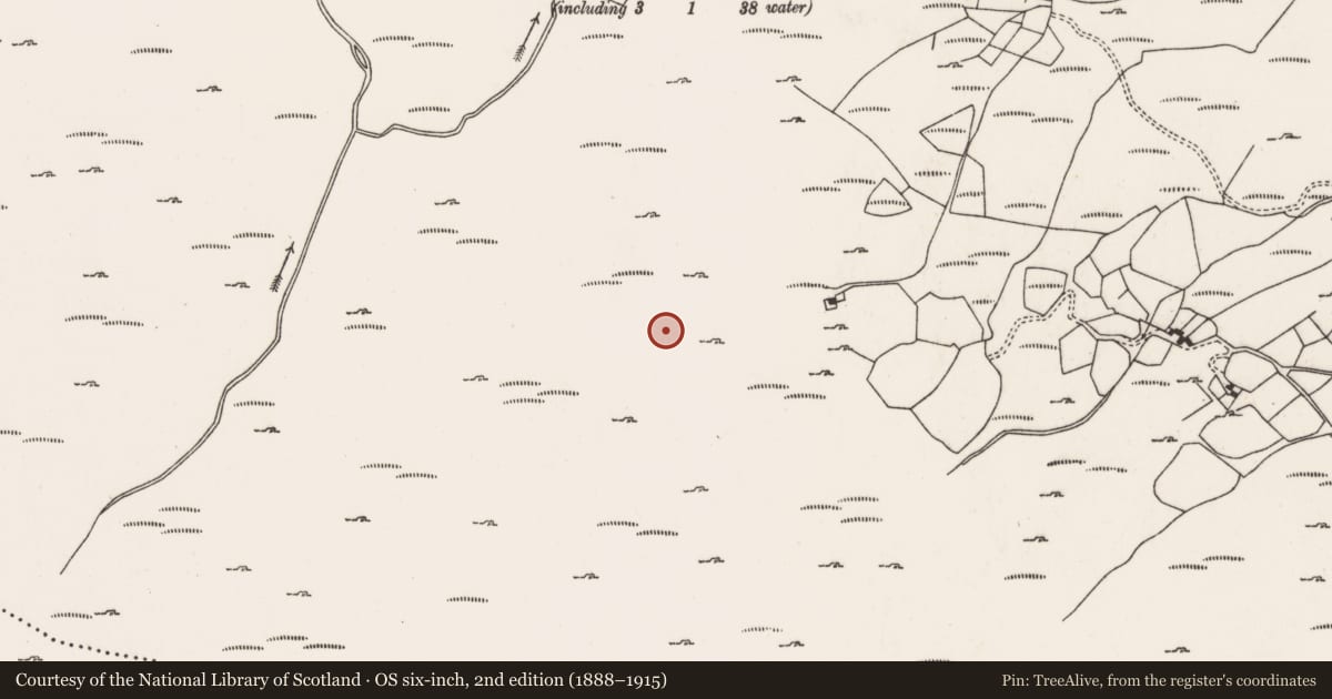 Ordnance Survey six-inch map, 2nd edition (1888–1915) covering the location of Anomalous stone group, Curramore, County Cork, with a pin at the register's coordinates