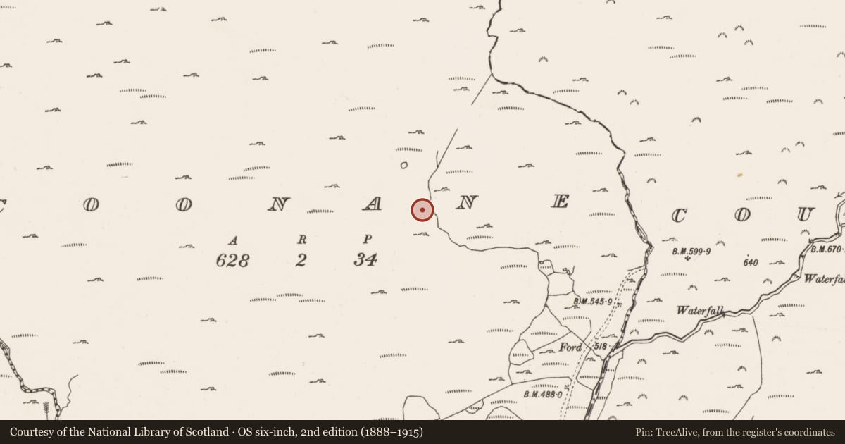 Ordnance Survey six-inch map, 2nd edition (1888–1915) covering the location of Field boundary, Coonane, County Cork, with a pin at the register's coordinates