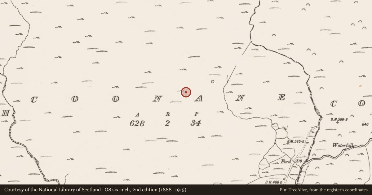Ordnance Survey six-inch map, 2nd edition (1888–1915) covering the location of Hut site, Coonane, County Cork, with a pin at the register's coordinates