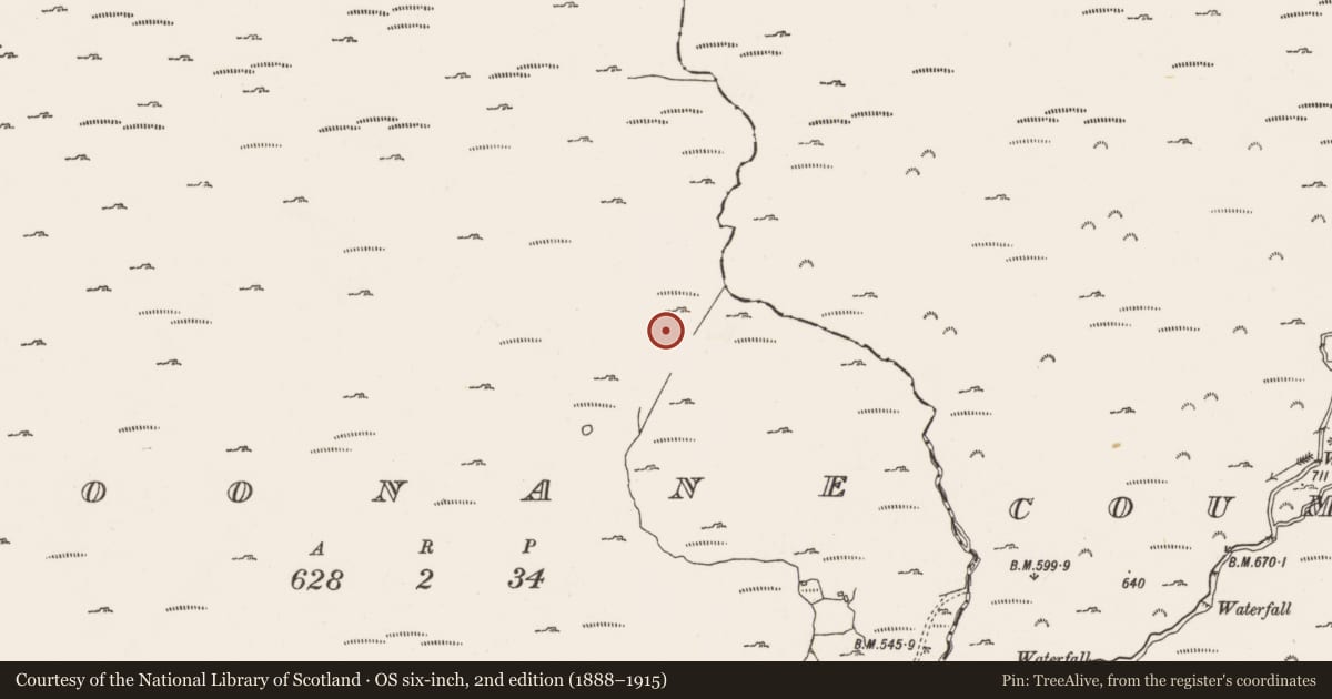 Ordnance Survey six-inch map, 2nd edition (1888–1915) covering the location of Hut site, Coonane, County Cork, with a pin at the register's coordinates