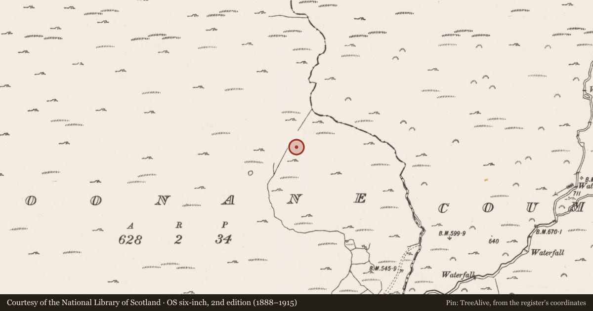 Ordnance Survey six-inch map, 2nd edition (1888–1915) covering the location of Megalithic tomb - wedge tomb, Coonane, County Cork, with a pin at the register's coordinates