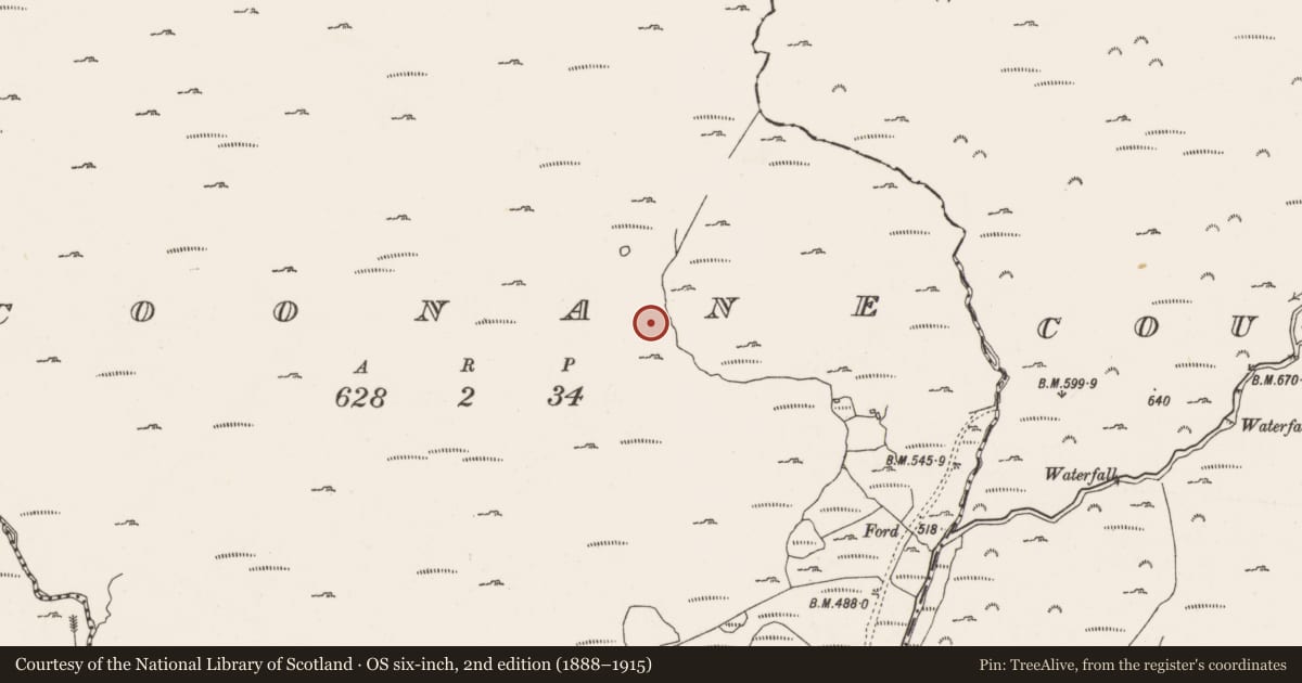 Ordnance Survey six-inch map, 2nd edition (1888–1915) covering the location of Standing stone, Coonane, County Cork, with a pin at the register's coordinates