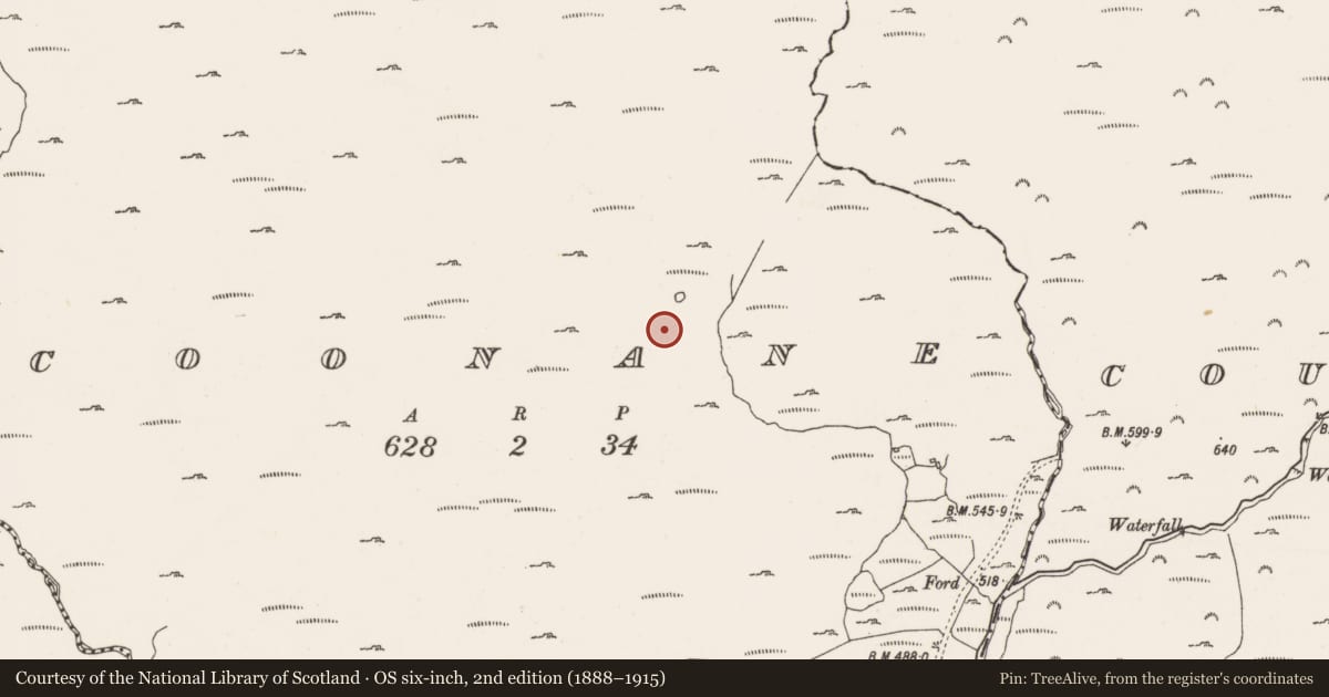 Ordnance Survey six-inch map, 2nd edition (1888–1915) covering the location of Hut site, Coonane, County Cork, with a pin at the register's coordinates