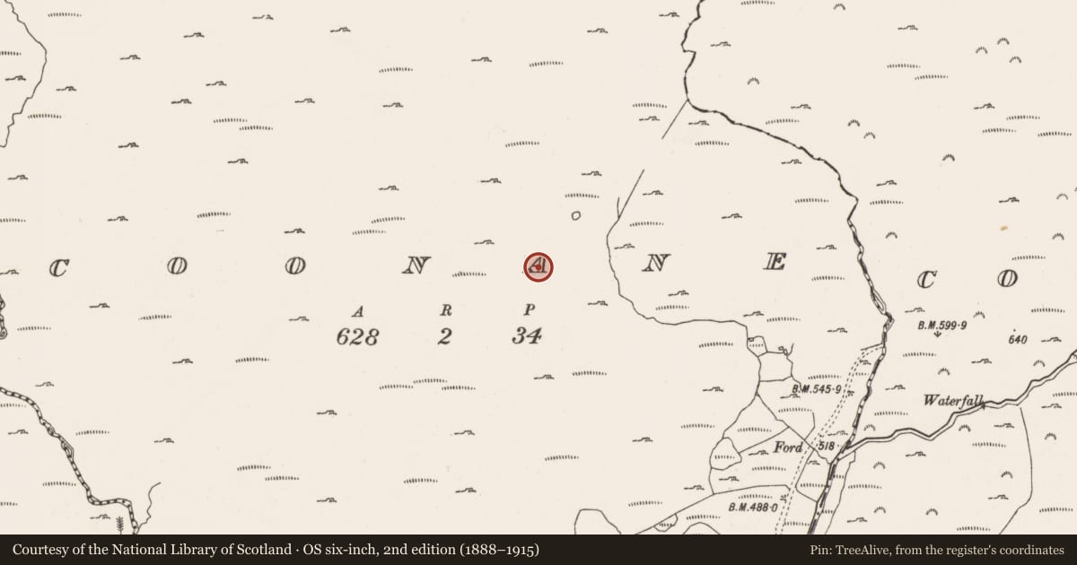 Ordnance Survey six-inch map, 2nd edition (1888–1915) covering the location of Hut site, Coonane, County Cork, with a pin at the register's coordinates