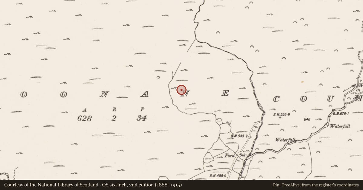 Ordnance Survey six-inch map, 2nd edition (1888–1915) covering the location of Field boundary, Coonane, County Cork, with a pin at the register's coordinates