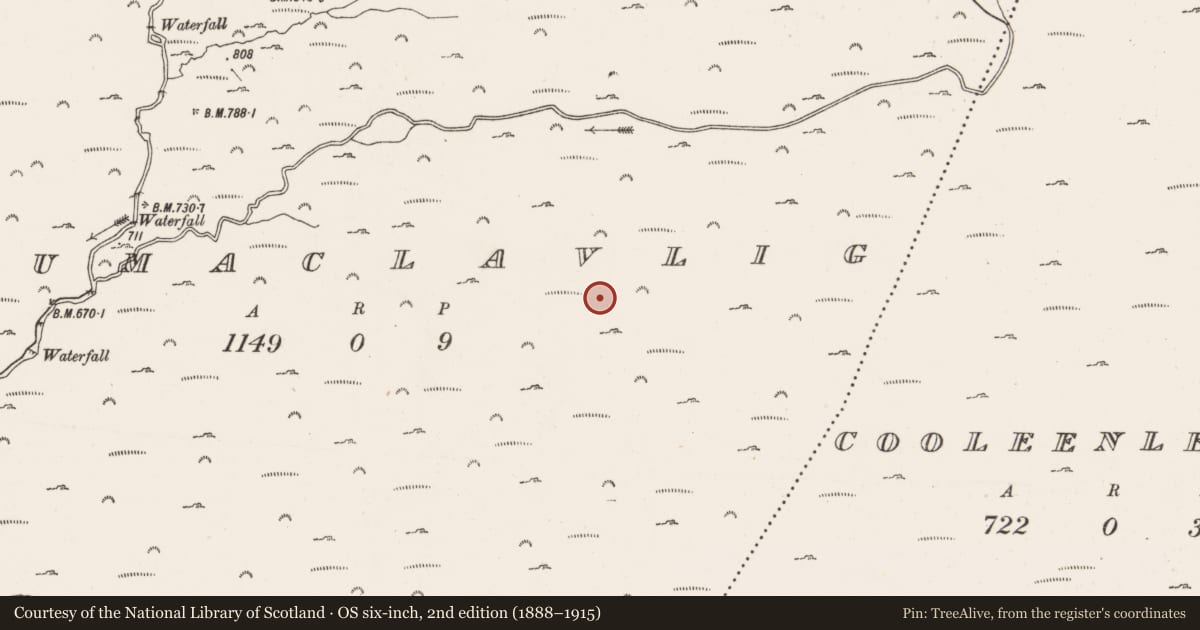 Ordnance Survey six-inch map, 2nd edition (1888–1915) covering the location of Megalithic tomb - wedge tomb, Coumaclavlig, County Cork, with a pin at the register's coordinates