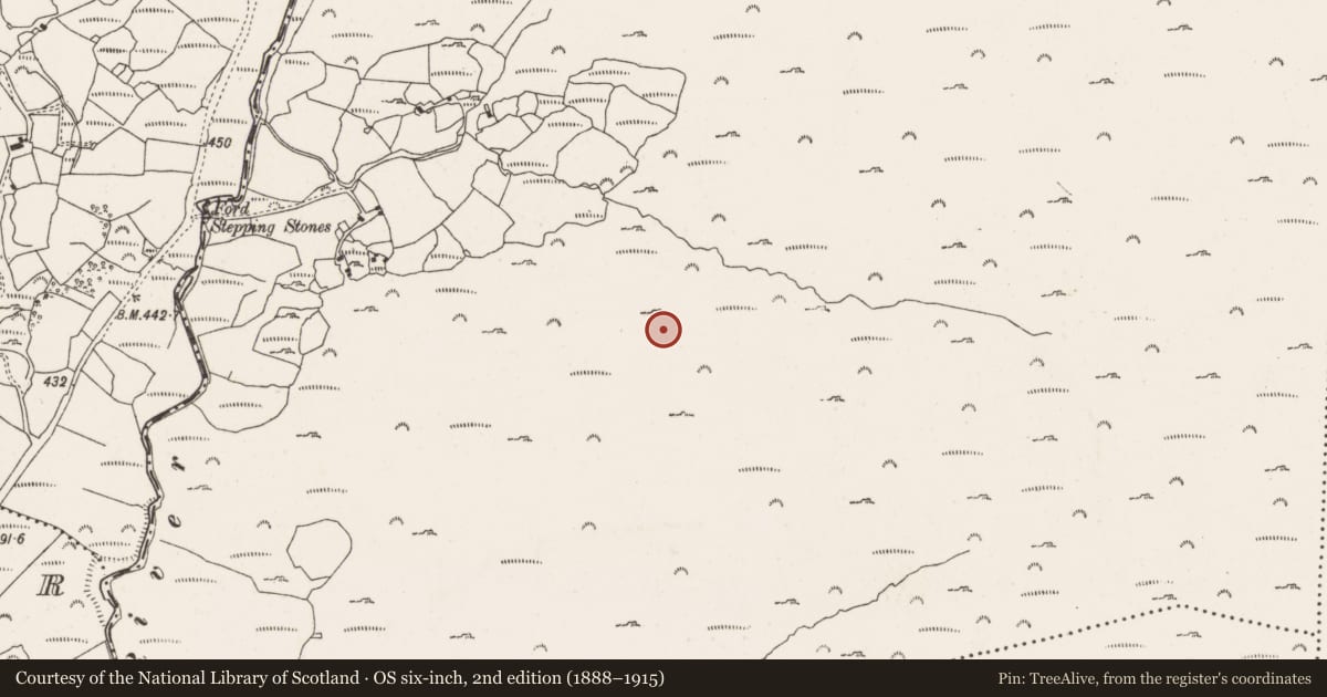 Ordnance Survey six-inch map, 2nd edition (1888–1915) covering the location of Megalithic tomb - wedge tomb, Coumaclavlig, County Cork, with a pin at the register's coordinates