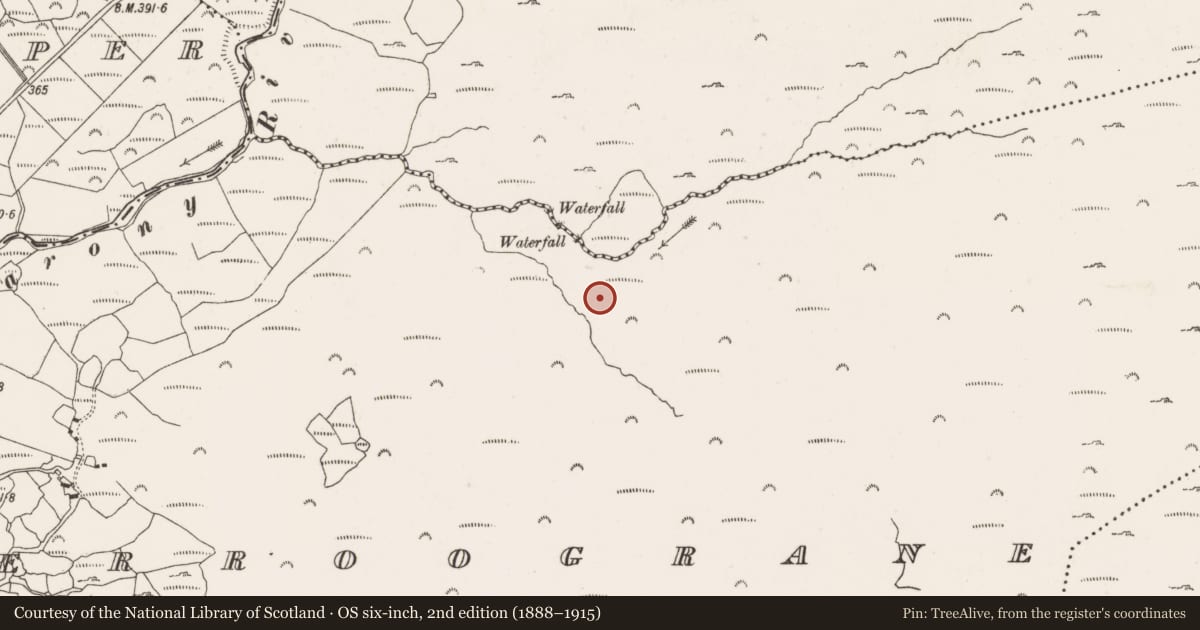 Ordnance Survey six-inch map, 2nd edition (1888–1915) covering the location of Hut site, Derroograne, County Cork, with a pin at the register's coordinates