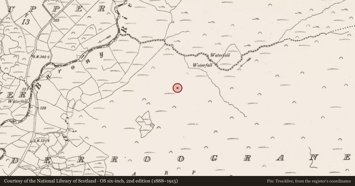 Ordnance Survey six-inch map, 2nd edition (1888–1915) covering the location of Enclosure, Derroograne, County Cork, with a pin at the register's coordinates