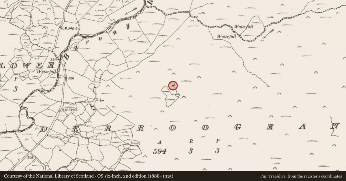 Ordnance Survey six-inch map, 2nd edition (1888–1915) covering the location of Field boundary, Derroograne, County Cork, with a pin at the register's coordinates