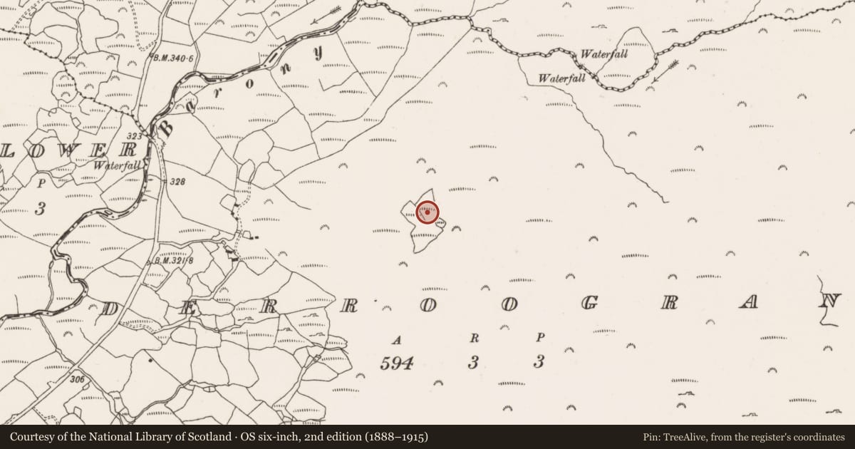 Ordnance Survey six-inch map, 2nd edition (1888–1915) covering the location of Boulder-burial, Derroograne, County Cork, with a pin at the register's coordinates