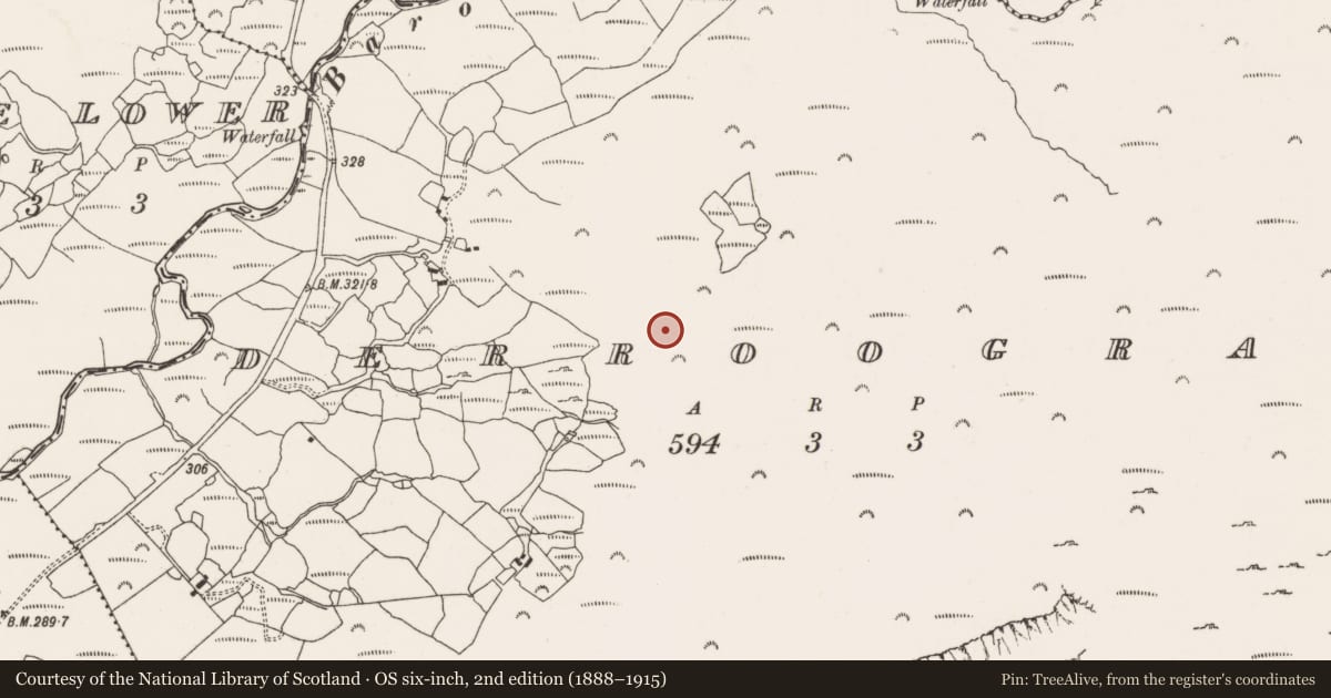 Ordnance Survey six-inch map, 2nd edition (1888–1915) covering the location of Hut site, Derroograne, County Cork, with a pin at the register's coordinates