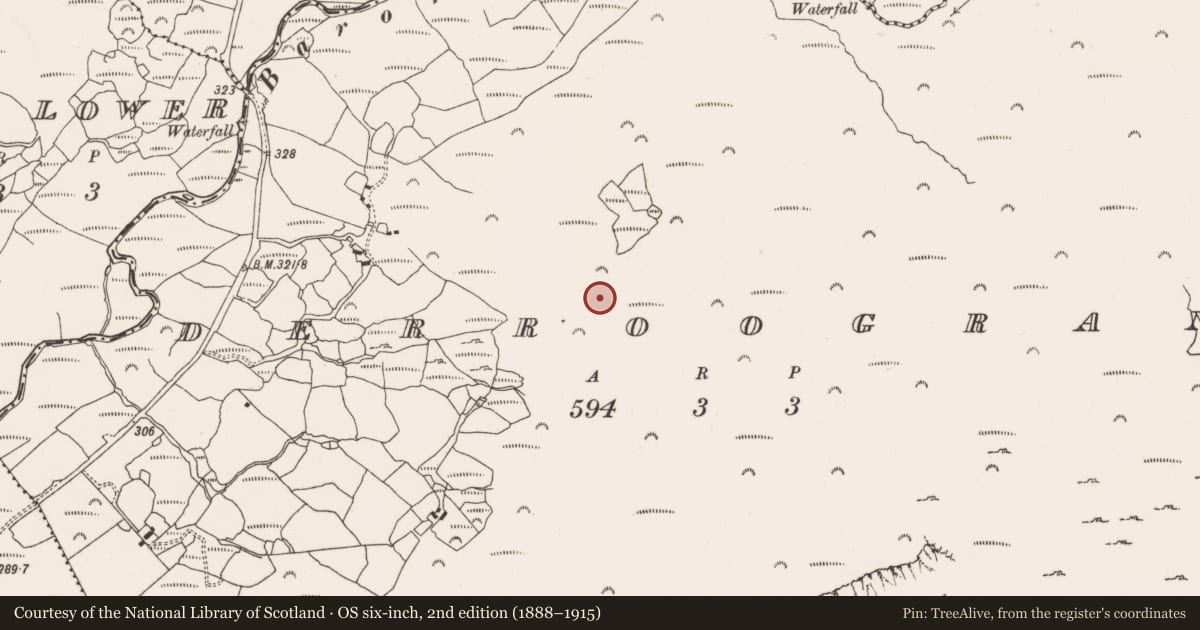 Ordnance Survey six-inch map, 2nd edition (1888–1915) covering the location of Fulacht fia, Derroograne, County Cork, with a pin at the register's coordinates