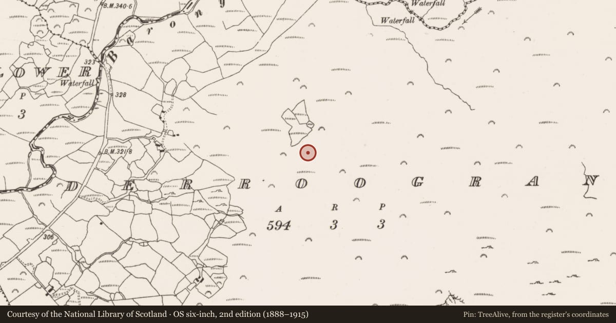 Ordnance Survey six-inch map, 2nd edition (1888–1915) covering the location of Hut site, Derroograne, County Cork, with a pin at the register's coordinates