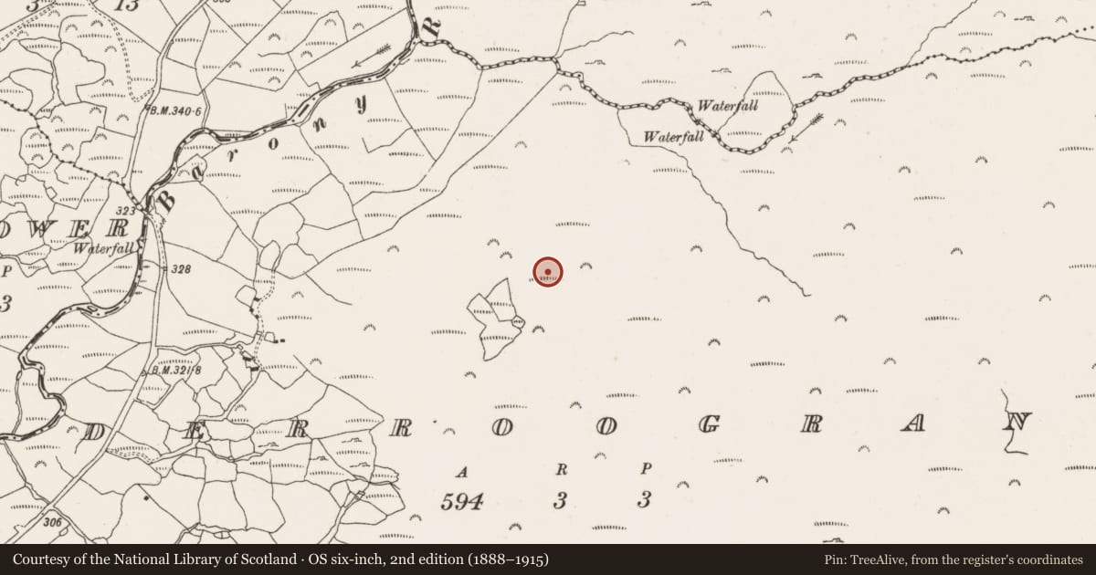 Ordnance Survey six-inch map, 2nd edition (1888–1915) covering the location of Burnt mound, Derroograne, County Cork, with a pin at the register's coordinates