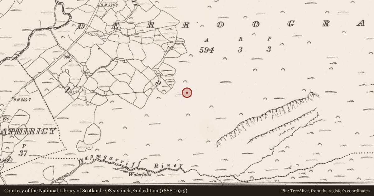 Ordnance Survey six-inch map, 2nd edition (1888–1915) covering the location of Fulacht fia, Derroograne, County Cork, with a pin at the register's coordinates