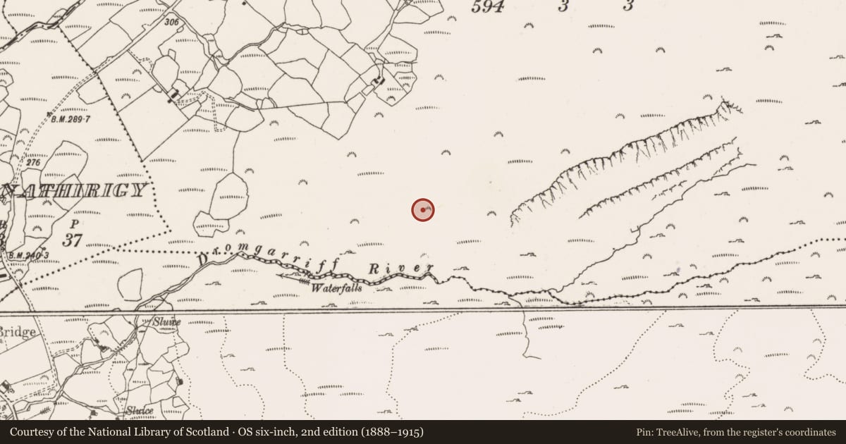 Ordnance Survey six-inch map, 2nd edition (1888–1915) covering the location of Hut site, Derroograne, County Cork, with a pin at the register's coordinates